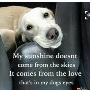 Meet your Posher, Brandy